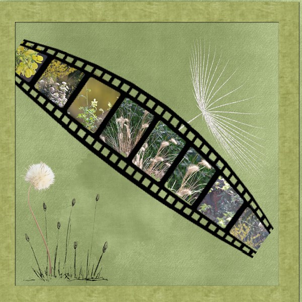 Défi pellicule - Gilberte