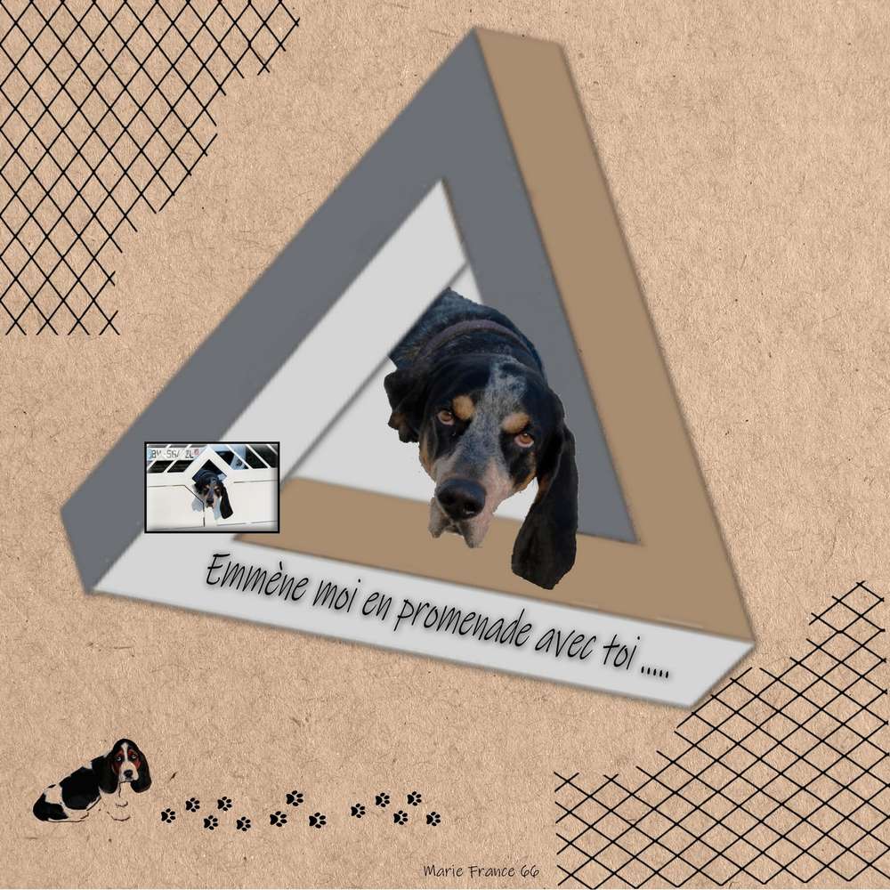 DEFI PENROSE GILBERTE