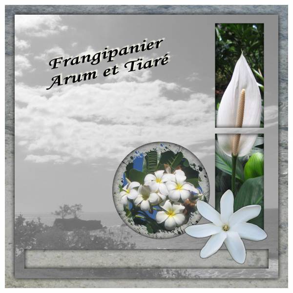 Défi perfo blanc et gris de Mamyrose