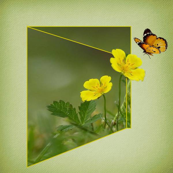 Défi perspective hors cadre