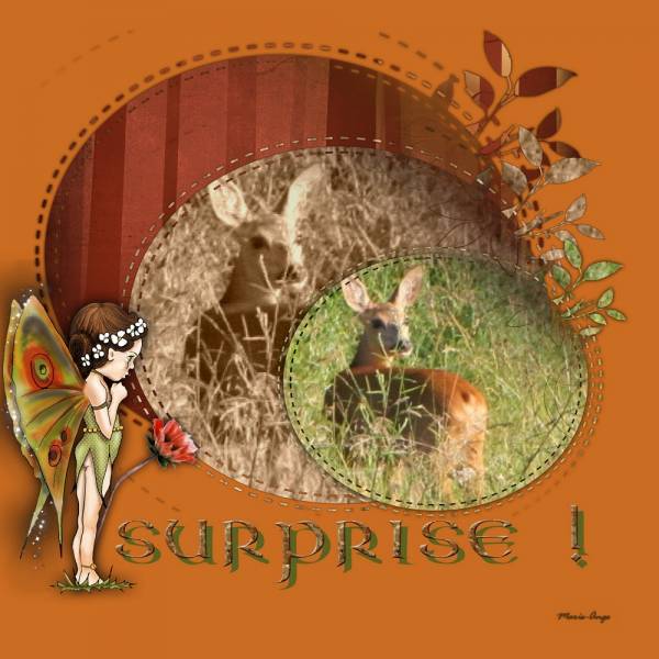 défi Petiote artist