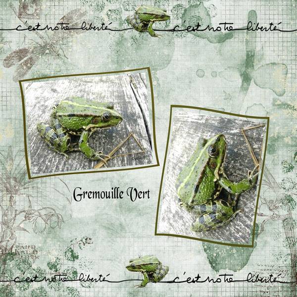 défi petiote nature