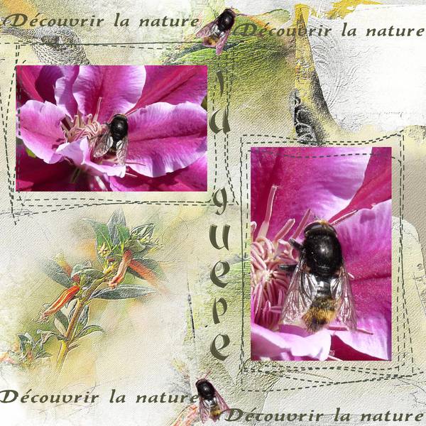 Défi Petiote (Sandra)