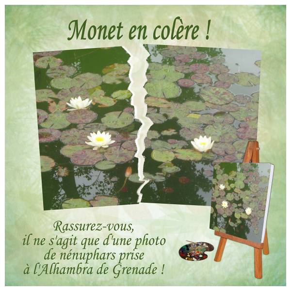 Défi photo déchirée de Marylène 21