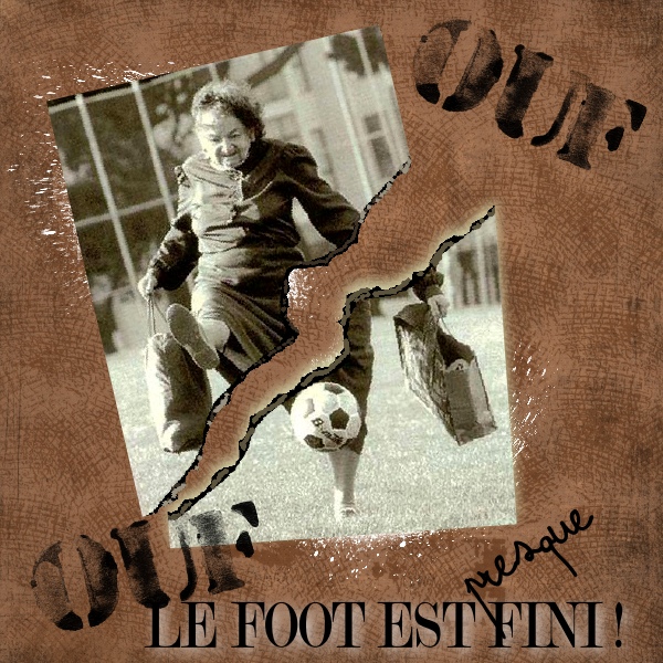 Défi  Photo déchirée