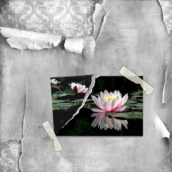 défi photo  déchirée