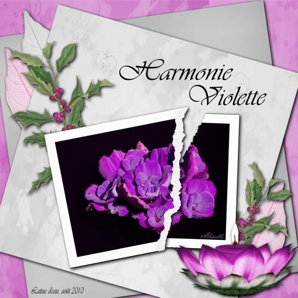 Défi photo déchirée