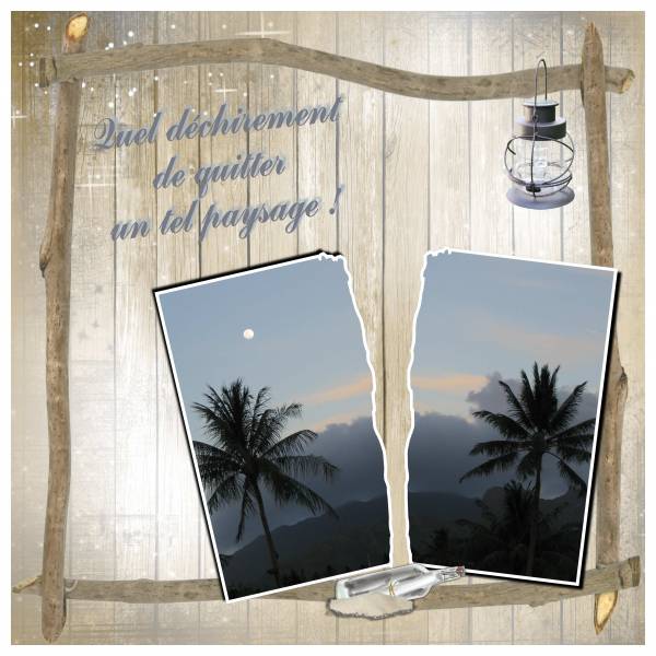 Défi photo déchirée