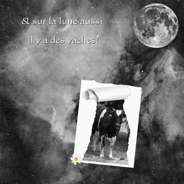 défi photo déchirée