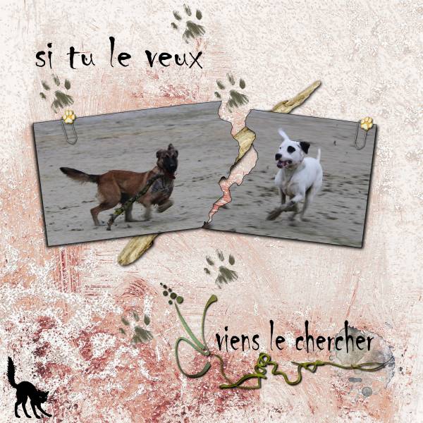 défi photo déchirée