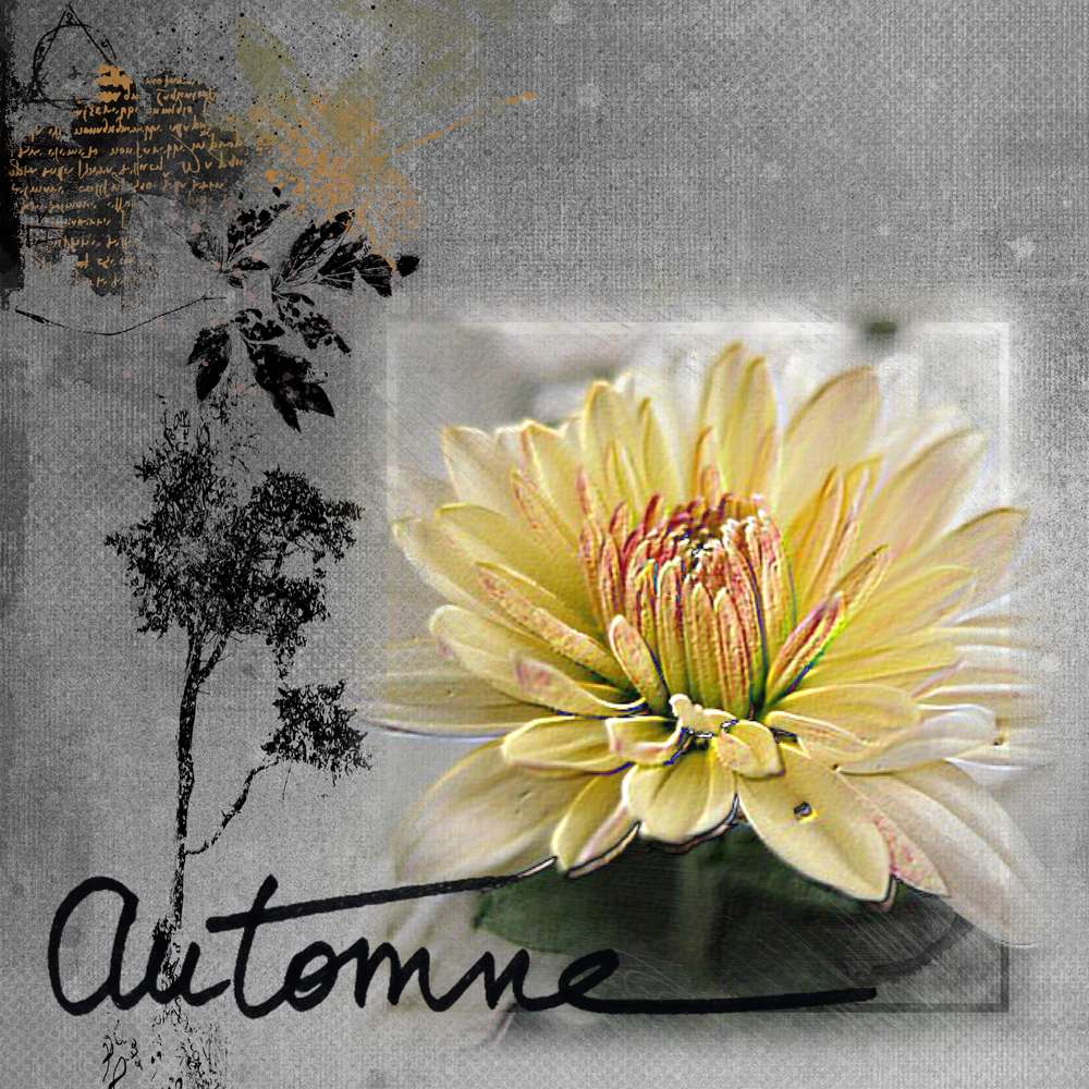 Défi photo imposée (Giécat)