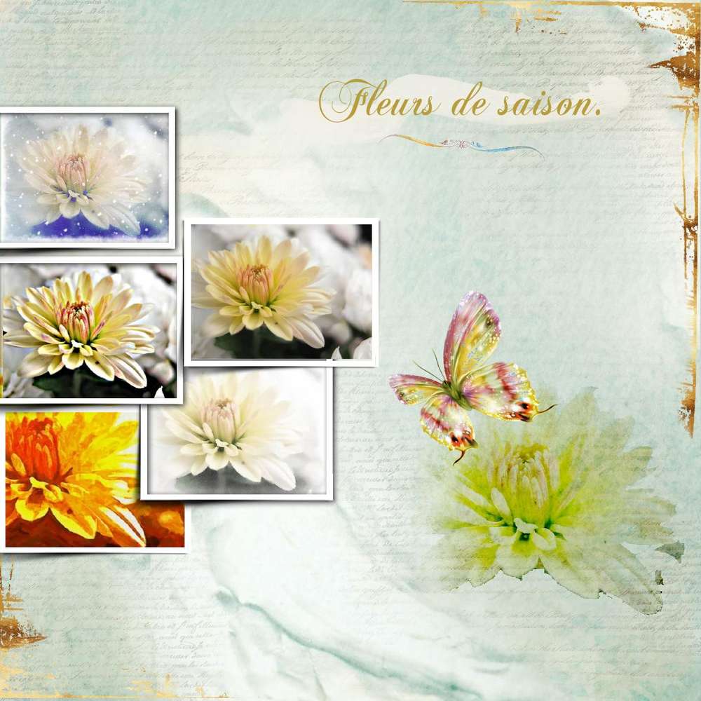 défi photo imposée