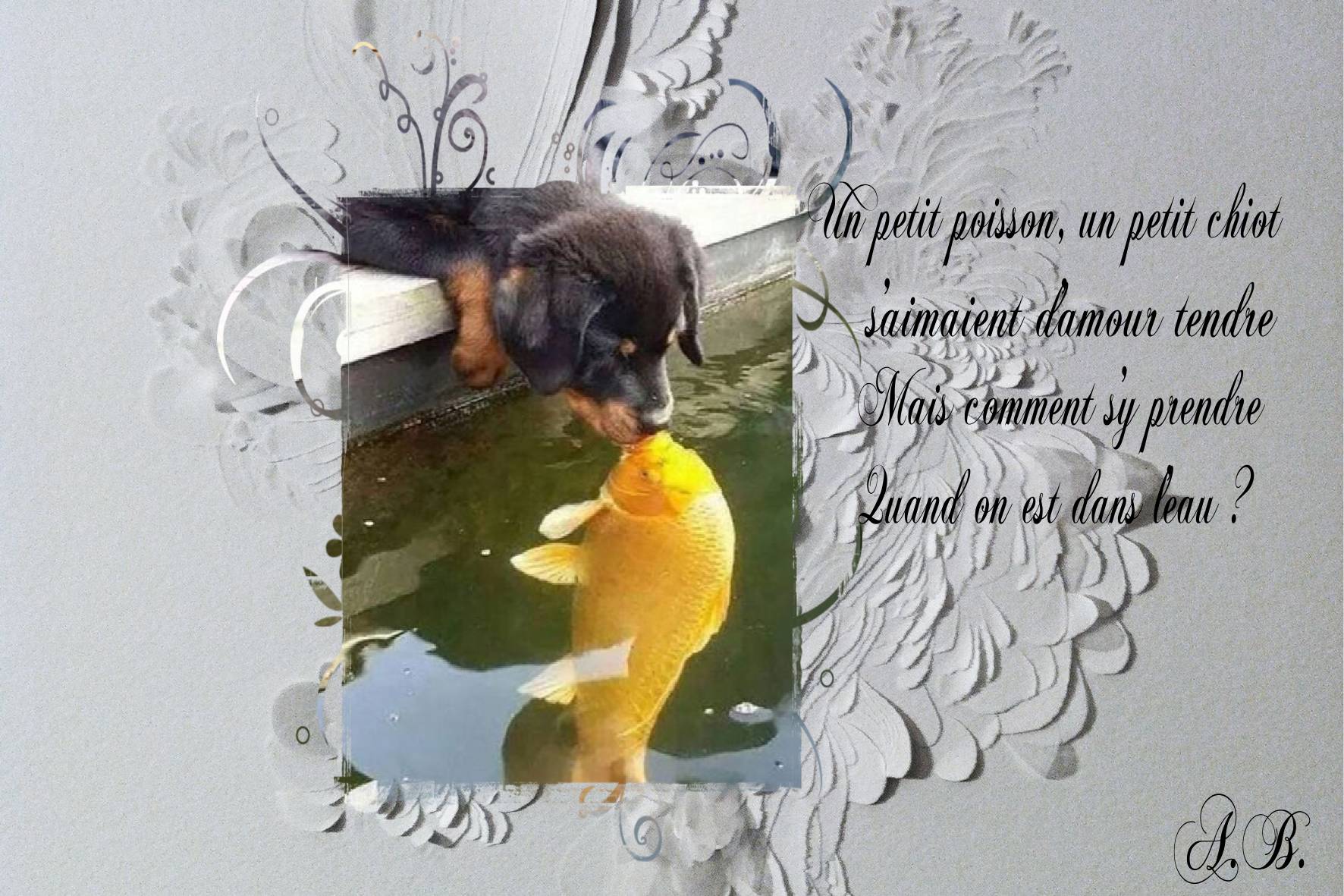 Défi photo insolite  Aurore