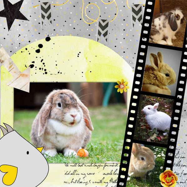 defi photomaton-ma page