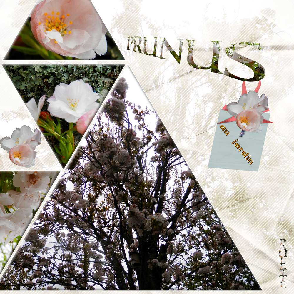 defi pique rectifié