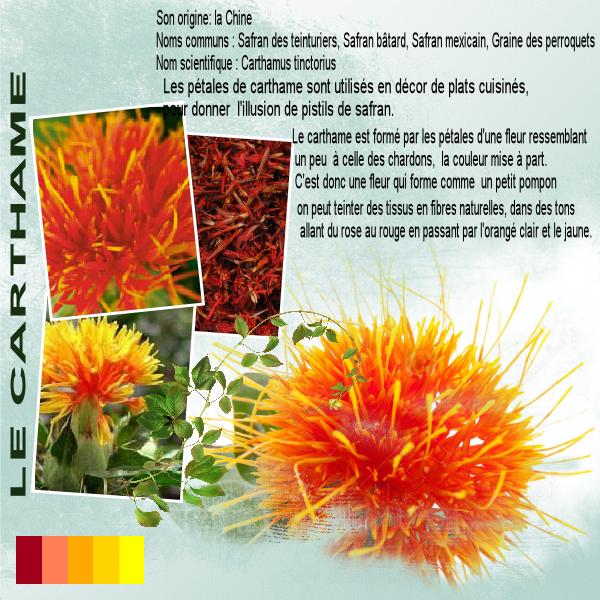 Défi Plante colorante Max