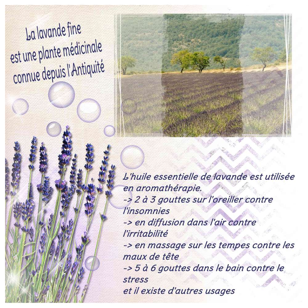 Défi Plante médicinale de Mamyrose