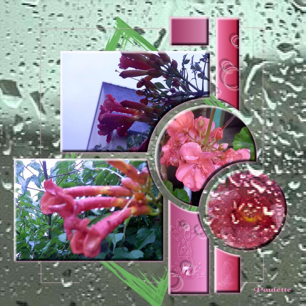 defi pluie de Nicole