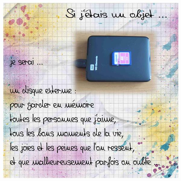 Défi Portrait chinois de Mimi de Saujon