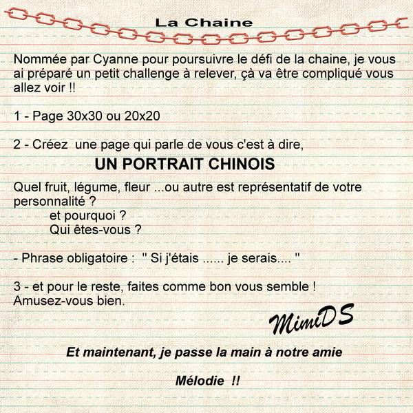 Défi portrait chinois proposition