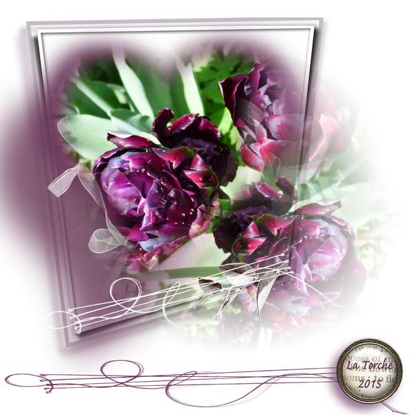 Defi Pourpre Gilberte.