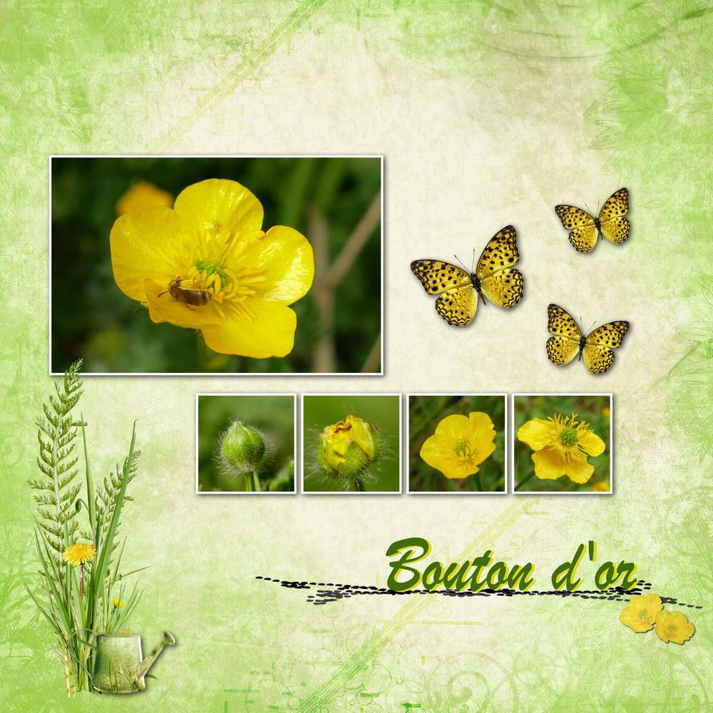 Défi printemps Ca pousse