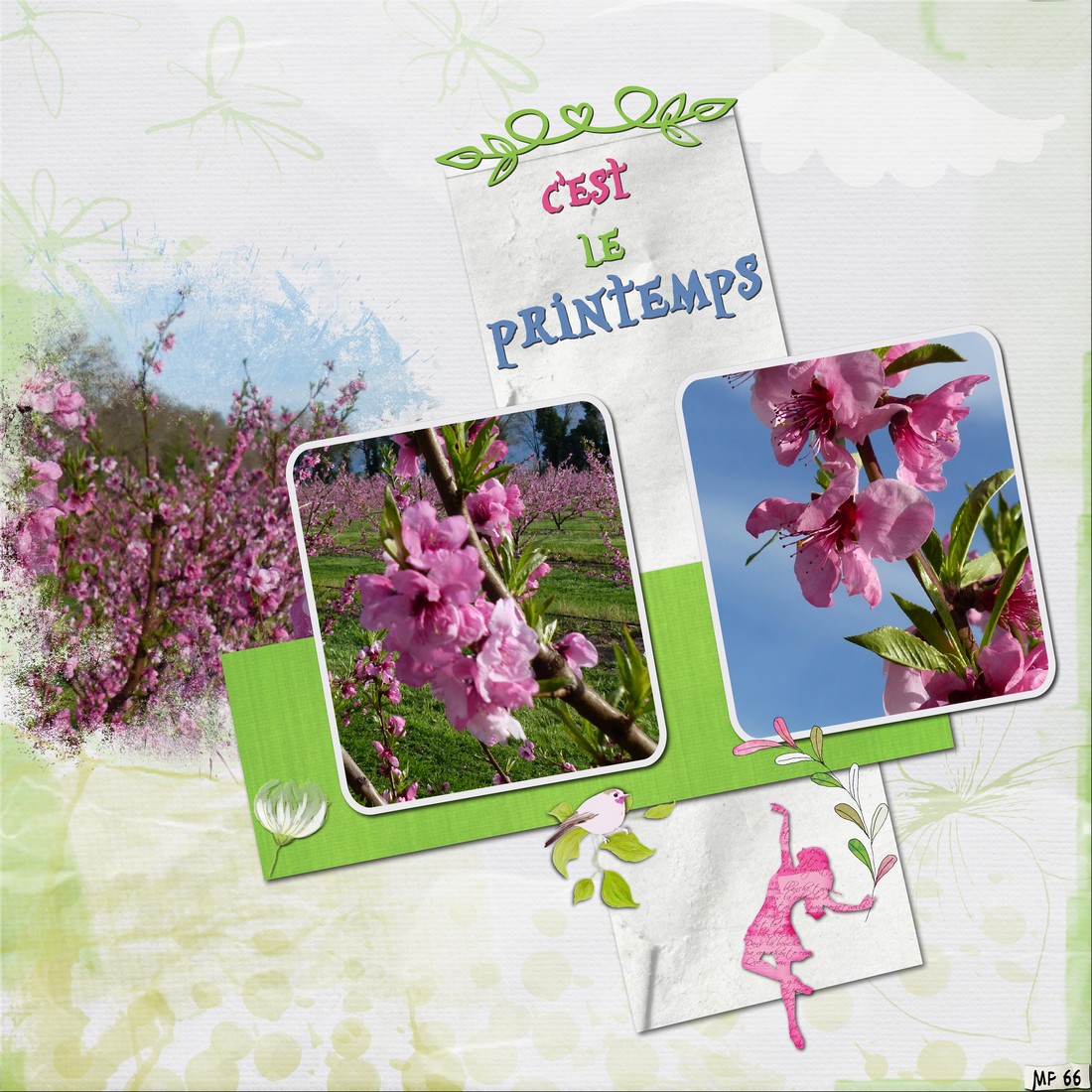 défi printemps moyson 2024.jpg