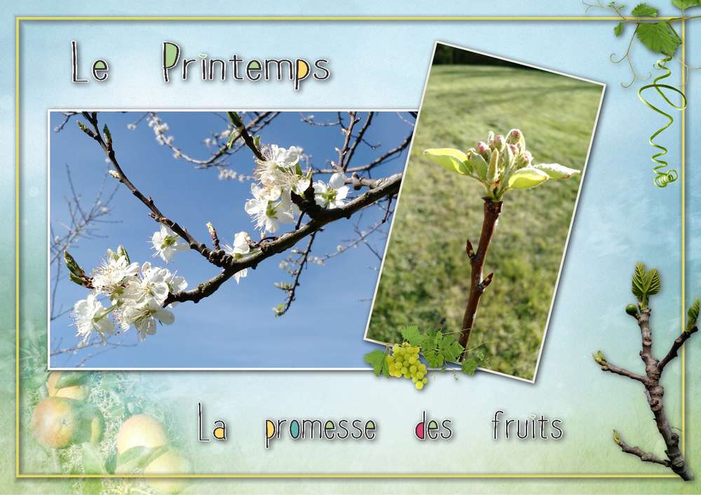 défi printemps