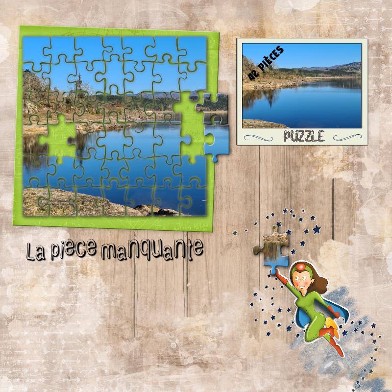 defi puzzle  2022.jpg