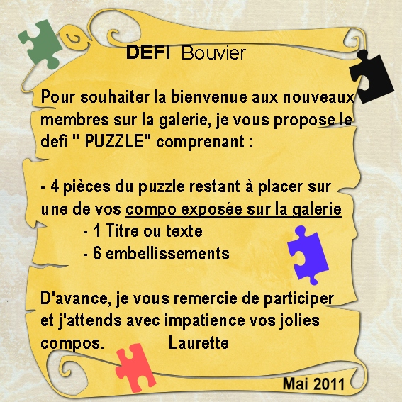 Défi Puzzle Bouvier