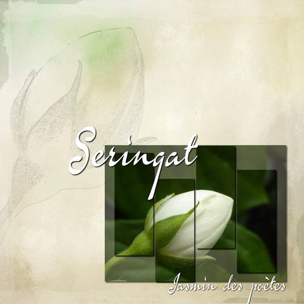 Défi rectangles Kinouline