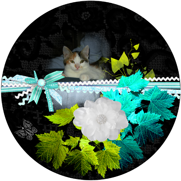 défi rond de Giecat