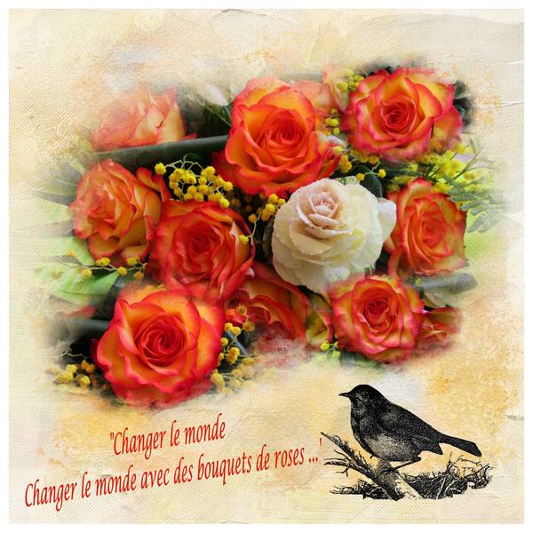 Défi roseraie de Karine