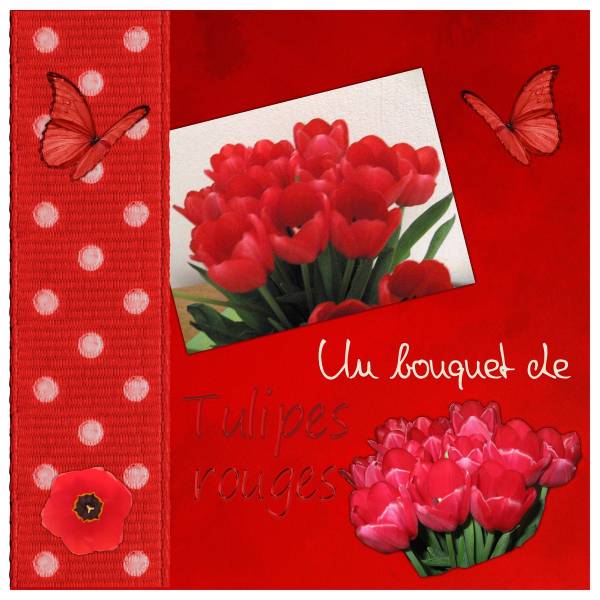 Défi rouge de Moyson