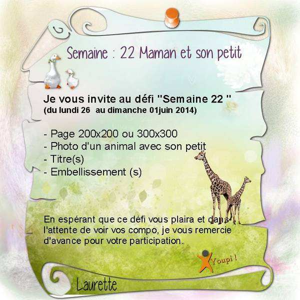 Défi S 22 Proposition