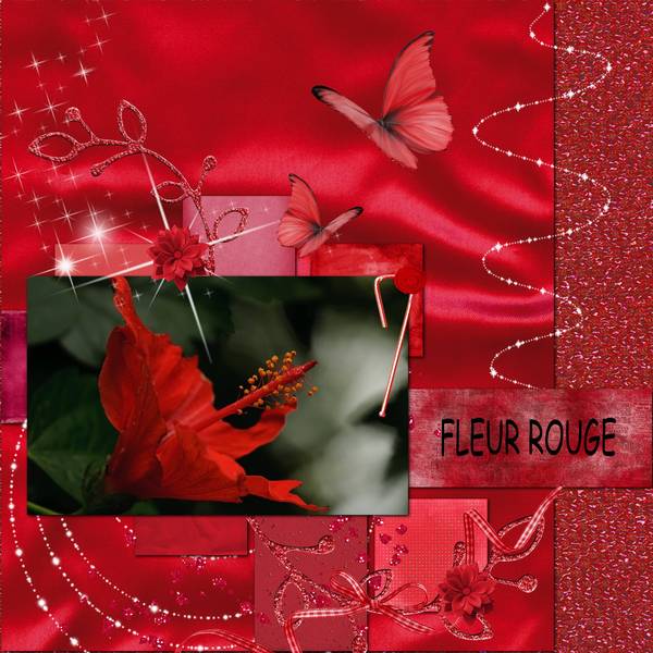 defi S07 rouge