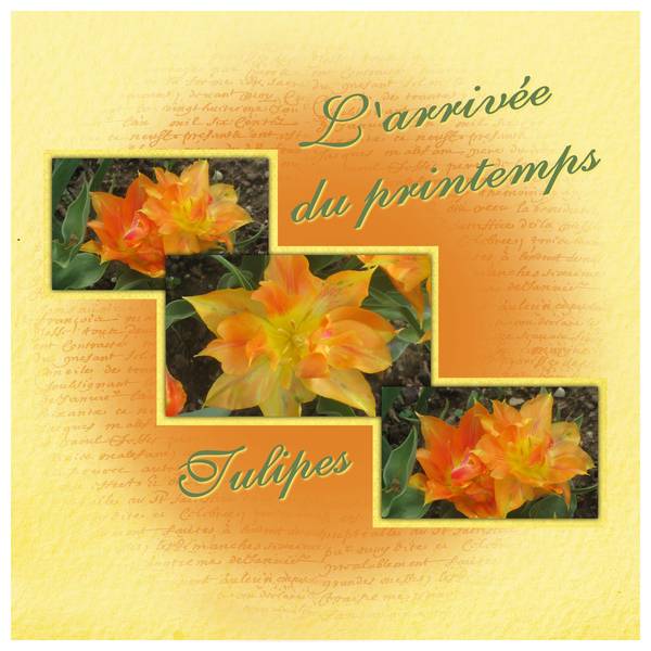 Défi S11 Printemps de Laurette