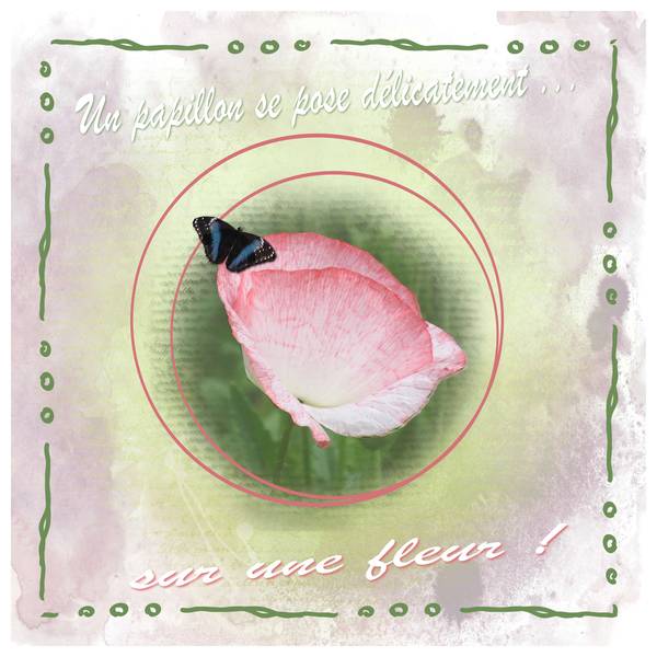 Défi S30 Papillon de Laurette