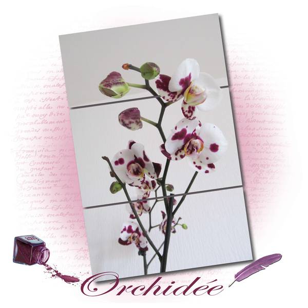 Défi S31 3 rectangle + 1 détourage