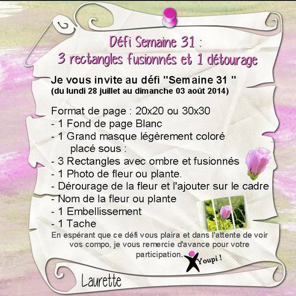 Défi S31 proposition