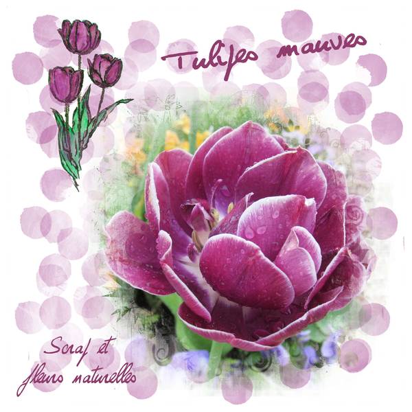 Défi S38 Mauve à violet de Laurette