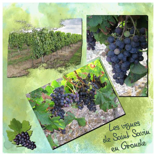 Défi S39 Raisin de Laurette