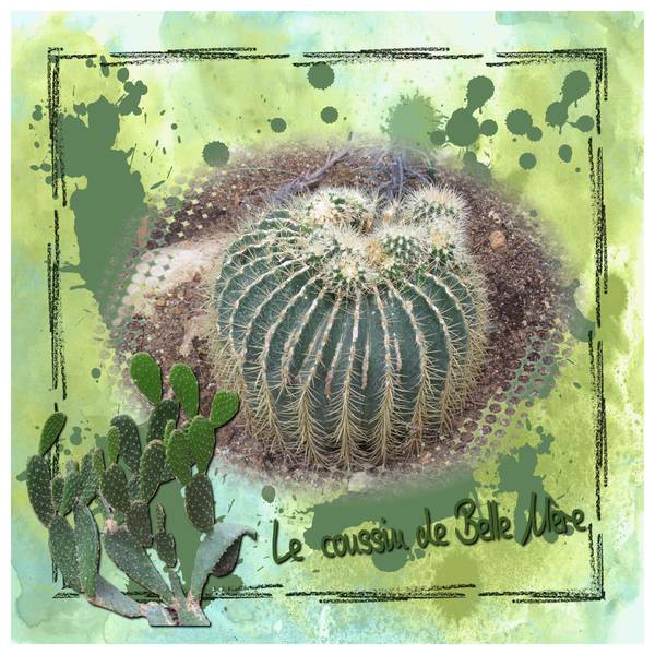 Défi S40 Cactée de Laurette