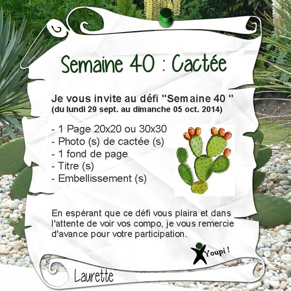 Défi S40 proposition