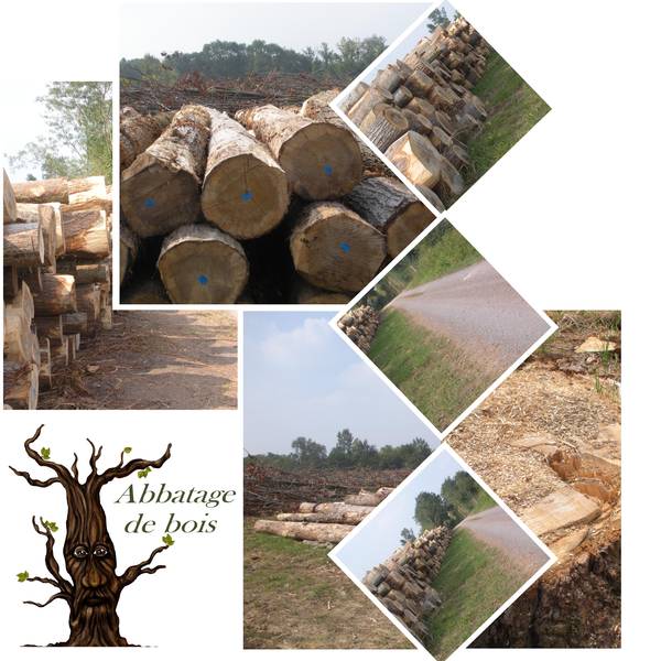 défi scraplift laurette