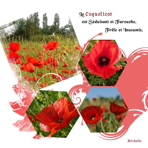 défi scraplift MOYSON