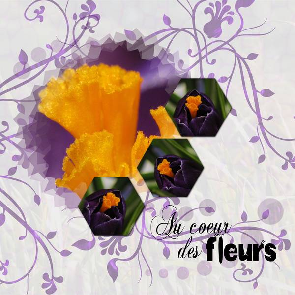 Défi  Scraplift Moyson