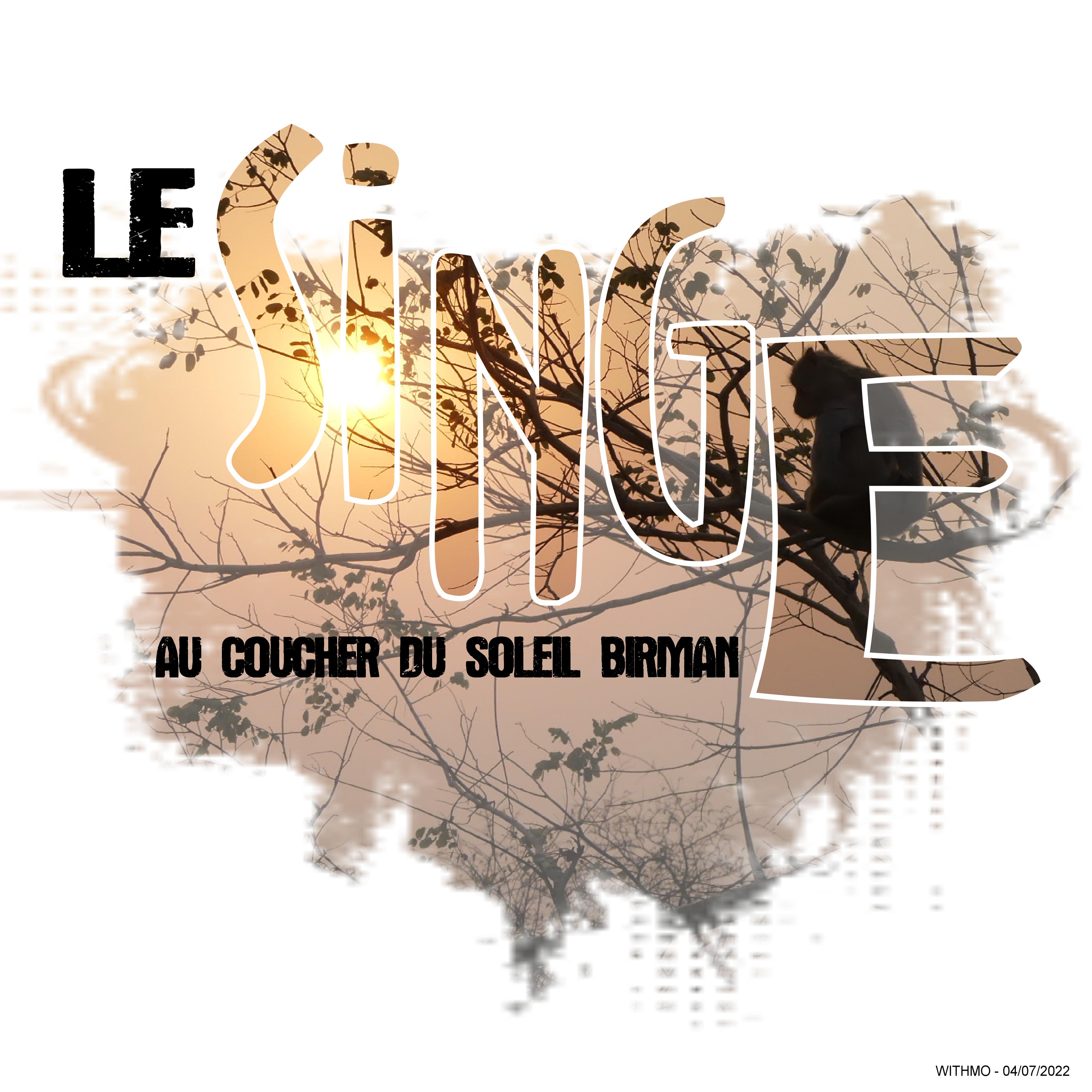 defi scraplift7 marierose_le singe.jpg