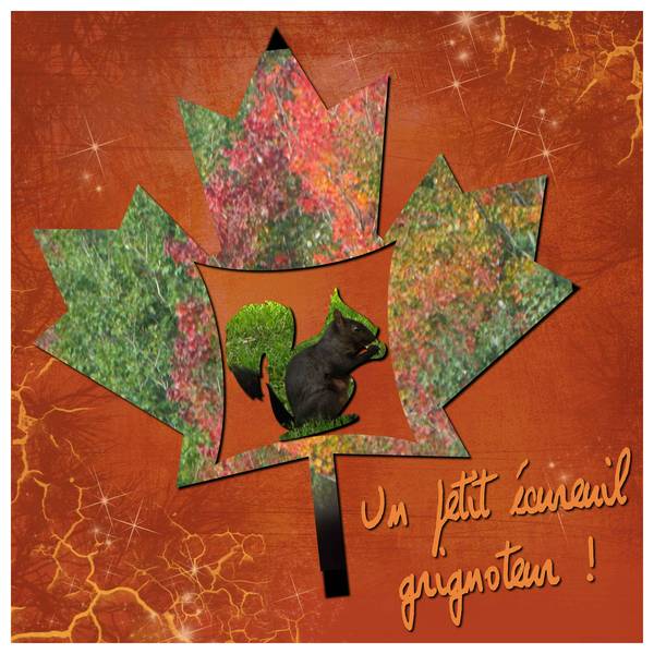 Défi sculpture sur feuille de Gilberte