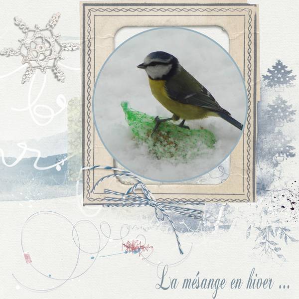 Défi - sem - 47 - oiseaux.